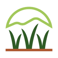 Rio Rancho Artificial Grass Installation